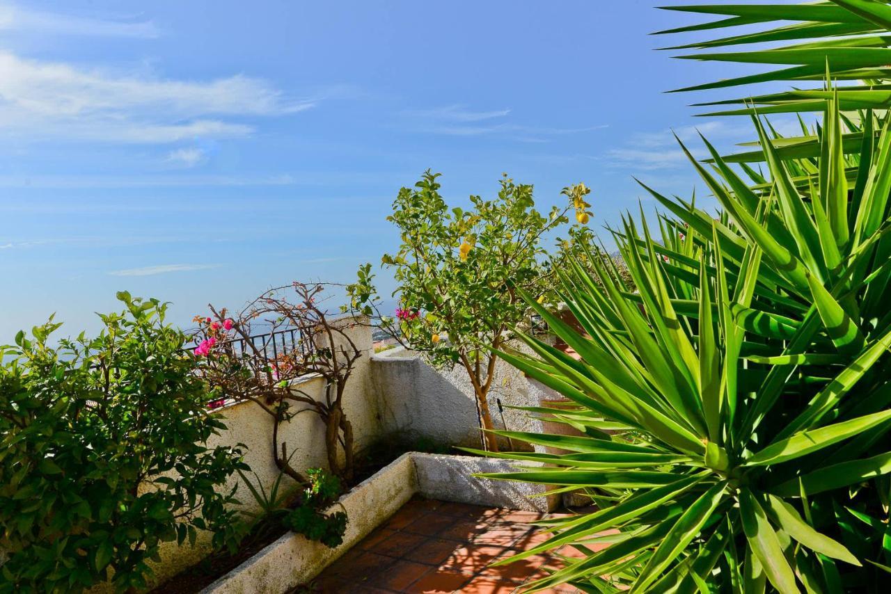 Holiday home El Algarrobo